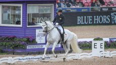 Portgual&rsquo;s Martim Meneres in the grand prix at the World Dressage Championships