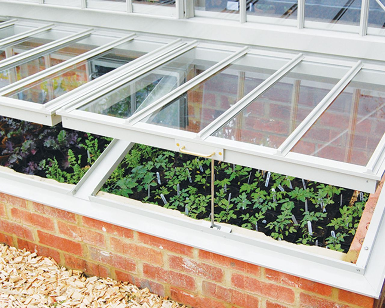 Hardening off plants how when and why to do it gardeningetc
