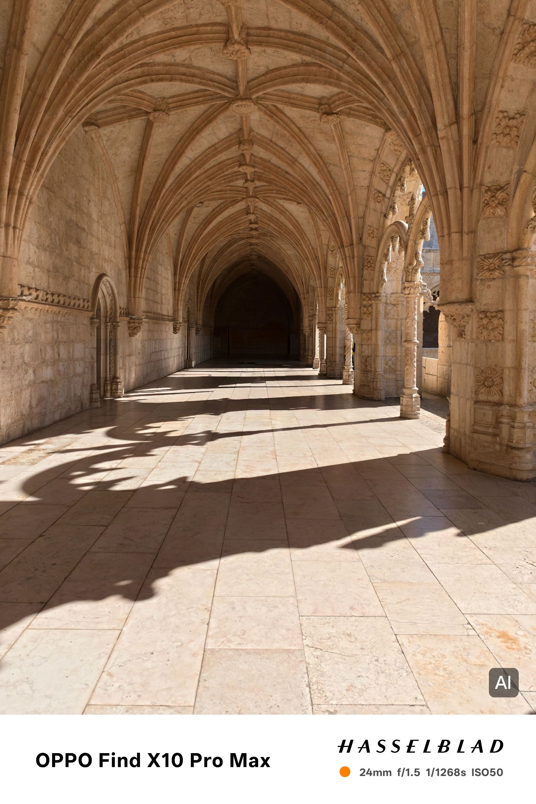 Empty vaulted cloister corridor with strong sunlight casting patterned shadows across the floor.
