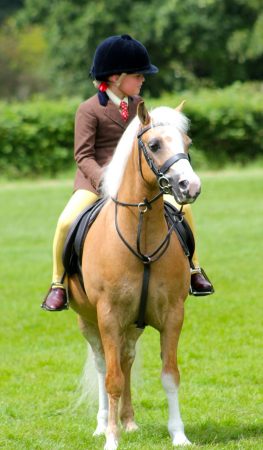Ruby Ward with Kyregate Peter Pan (Jojo) &amp;mdash; second in the M&amp;amp;M WHP at the RIHS