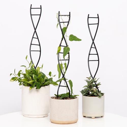 Yohsnor 3 Pcs Indoor Plant Trellis Set - Black Metal Dna Design for Potted Plants, Small Houseplants &amp;amp; Climbing Support - Modern Home Decor &amp;amp; Vertical Garden Display - Perfect for Indoor &amp;amp; Outdoor Use
