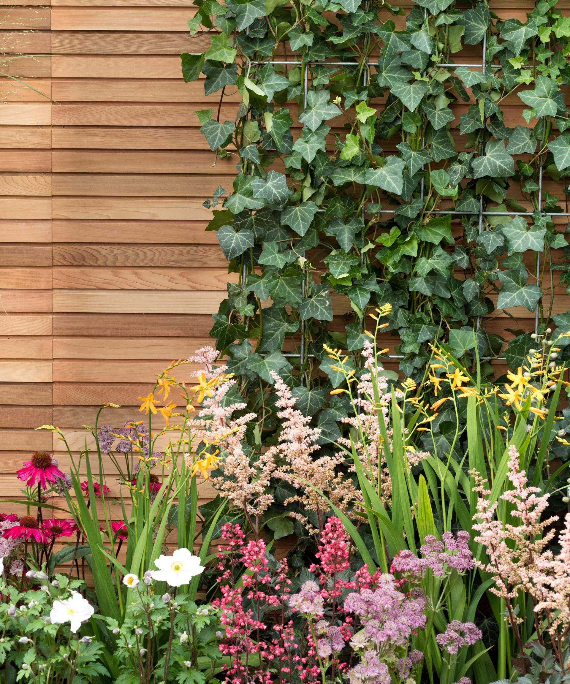 Garden fence ideas: 28 ways to update your boundaries | Gardeningetc