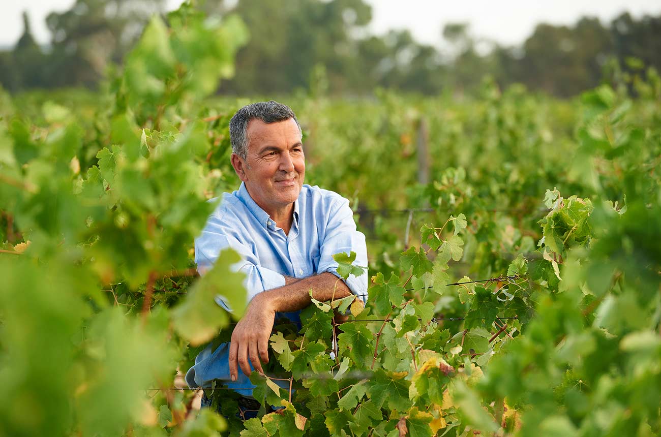 James Talijancich, Talijancich Wines