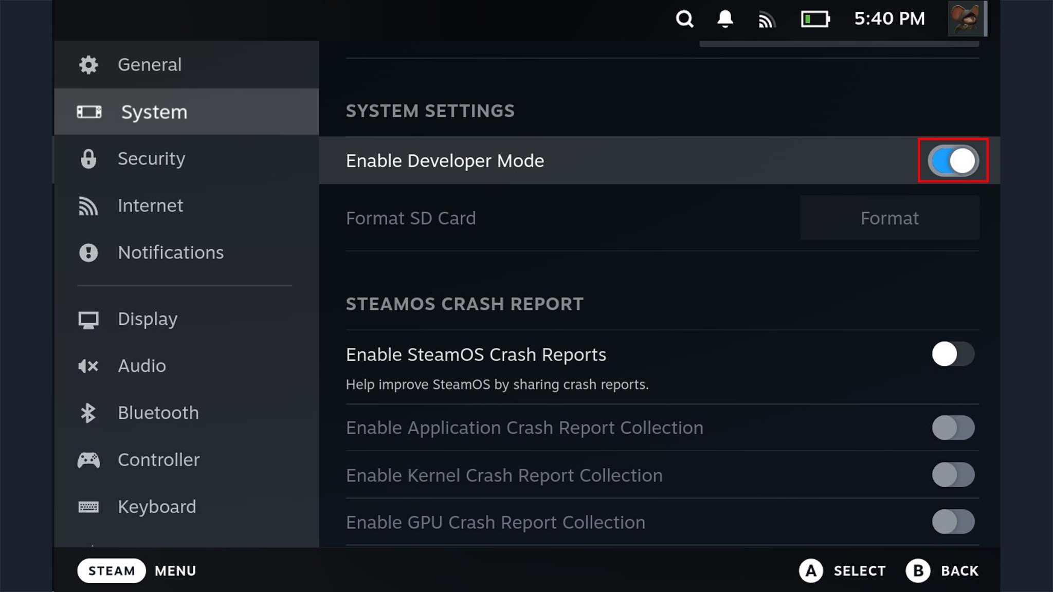 Steam Deck Decky Loader enable Developer Mode.