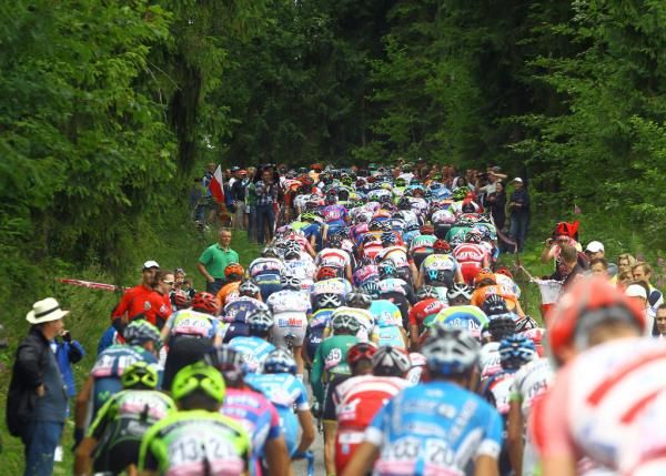 The peloton in the Tour of Poland