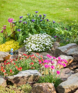 A small rock garden with Spring flowers beside a lawn in an English garden in May