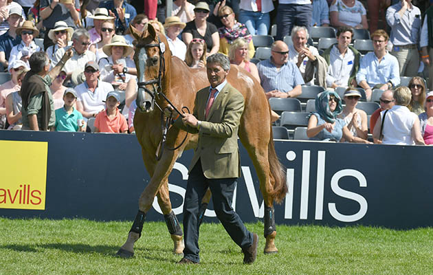 The Mitsubishi Motors Badminton Horse Trials 06 05 2018