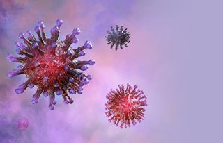 An illustration of a virus