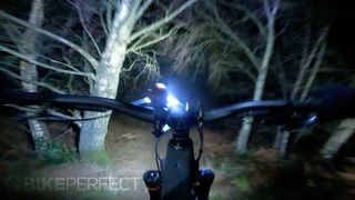 Point of view camera angle of a mountain biker riding in the woods at night