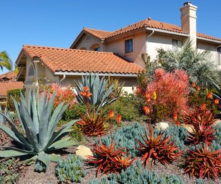 California rock garden