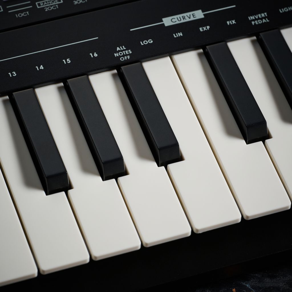 Donner Essential L1