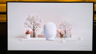 An Acer monitor displays a model head in a 3D outdoor landscape 