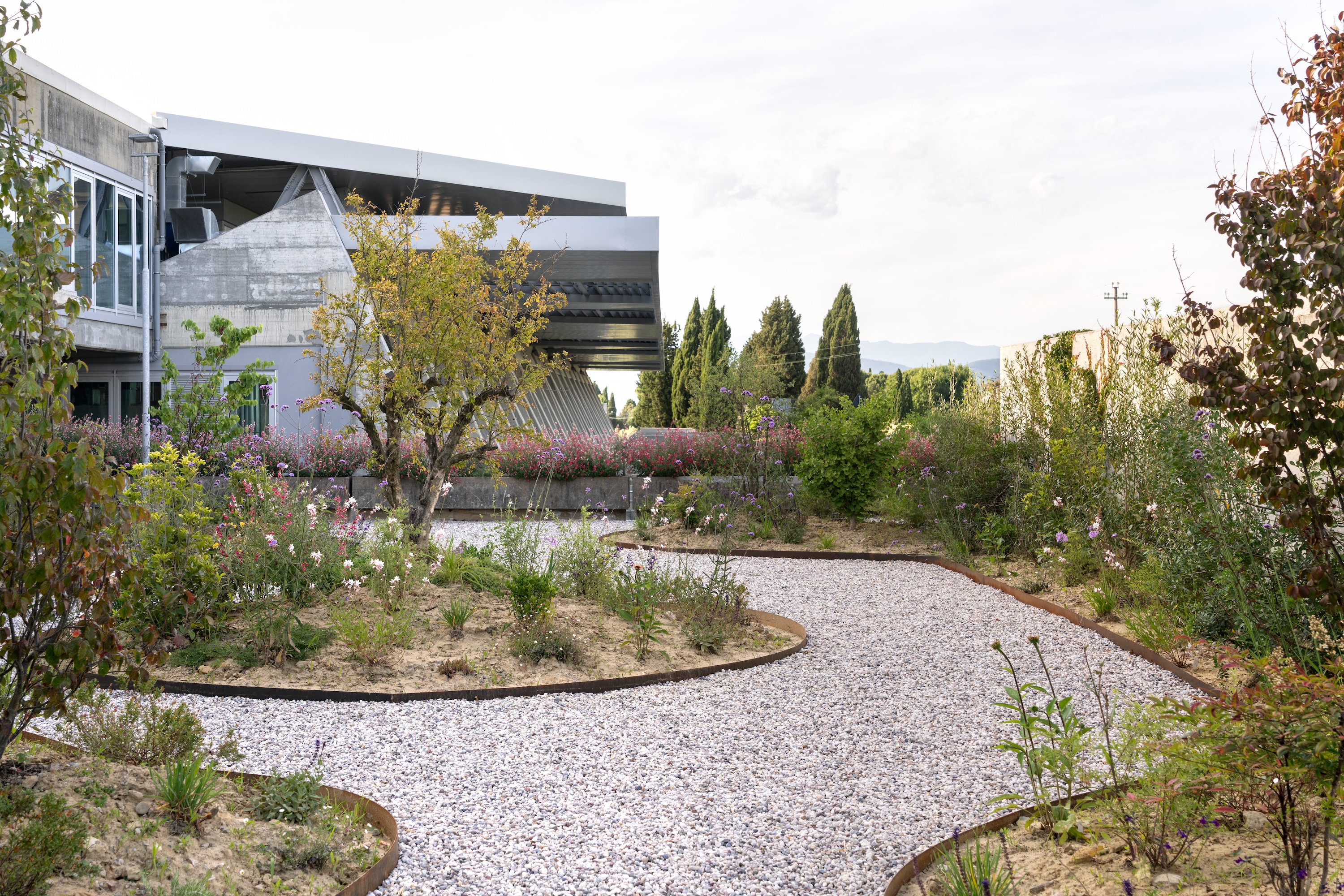 Balenciaga The Plant