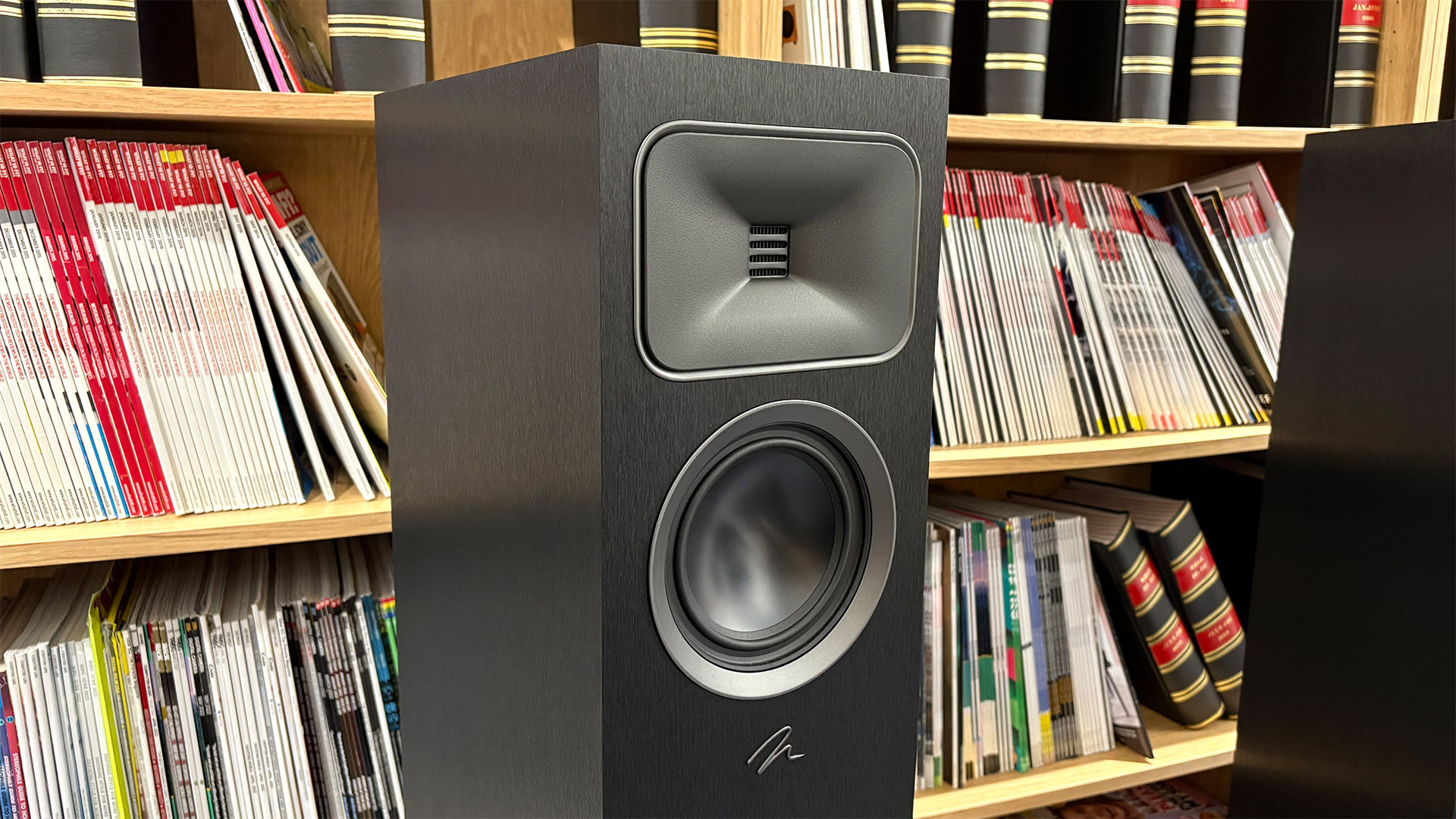 Martin Logan Motion Foundation F1 floorstanding speaker in front of bookcase, detail of tweeter