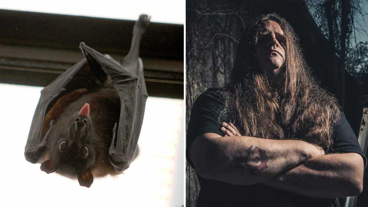 A bat, and Corpsegrinder