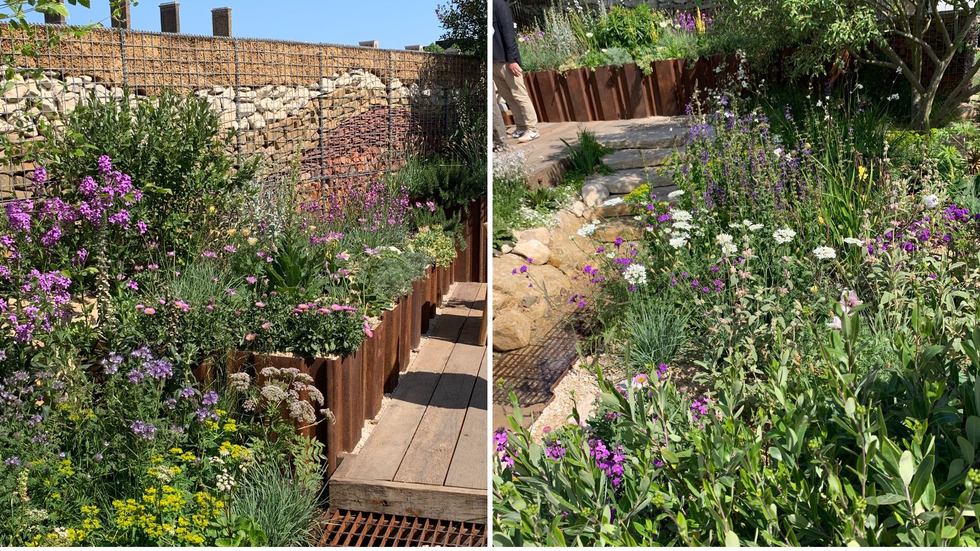 Compilation garden images to show RHS Chelsea garden Show 2025 highlights