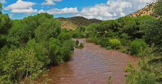 Gila river in New Mexico
