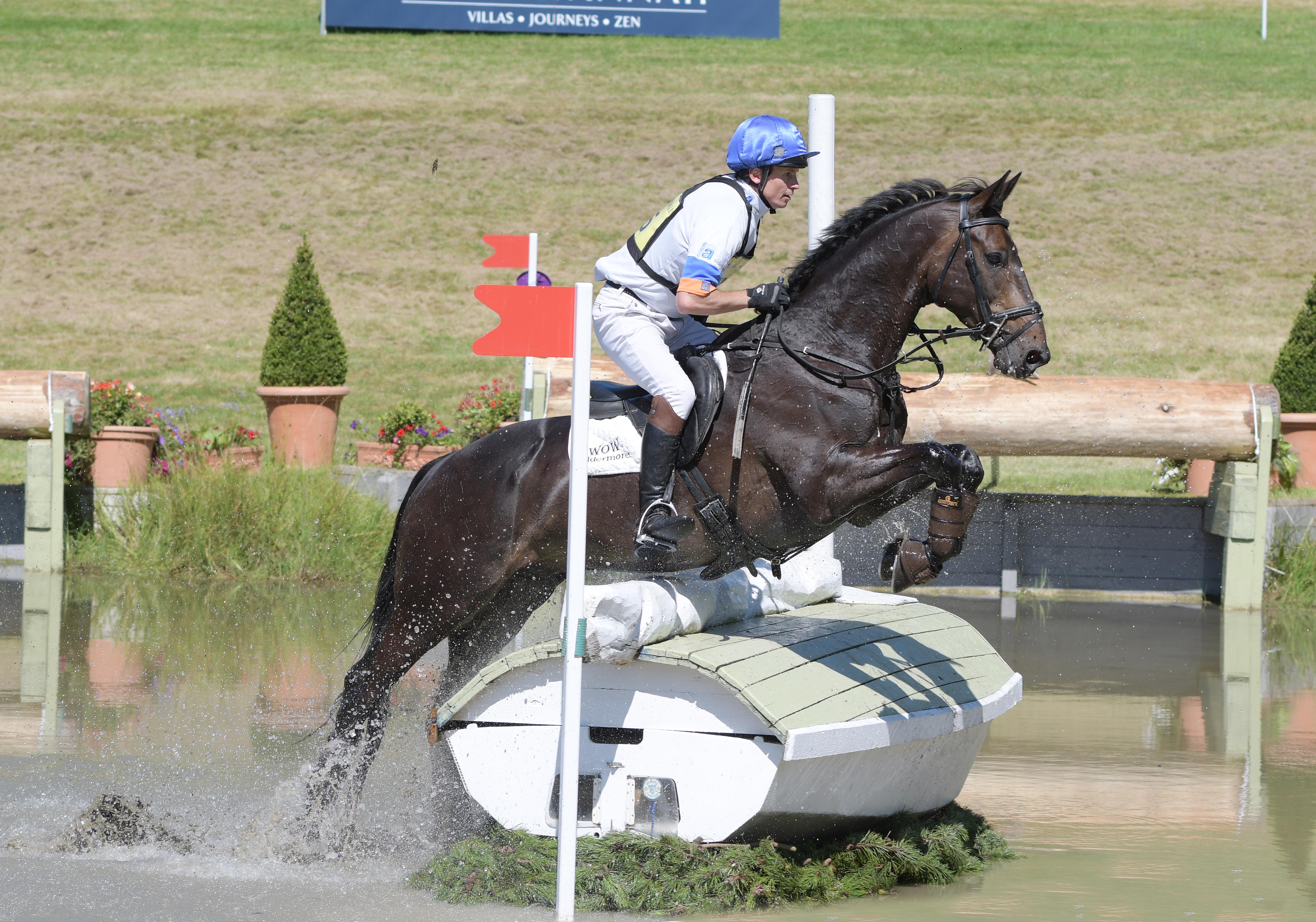 Image by focusonhorses.com