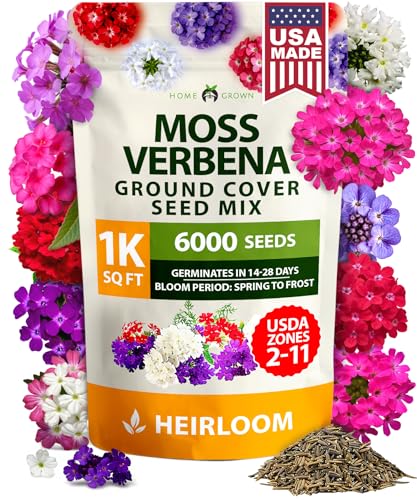 Home Grown Verbena Moss Seeds - 6000+ Perennial Flower Seeds for Ground Cover - Heat-Tolerant Plant Seed for Outdoor Gardening, Walkways &amp;amp; Erosion Control - Attracts Pollinators (verbena Tenuisecta)
