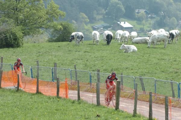 BMC are without Evans but will work for Greg Van Avermaet