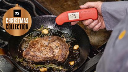 Thermapen One Christmas gift ideas