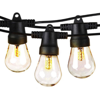 Brightech Ambience Pro Solar Powered Outdoor String Lights: was $47 now $25 @ Amazon