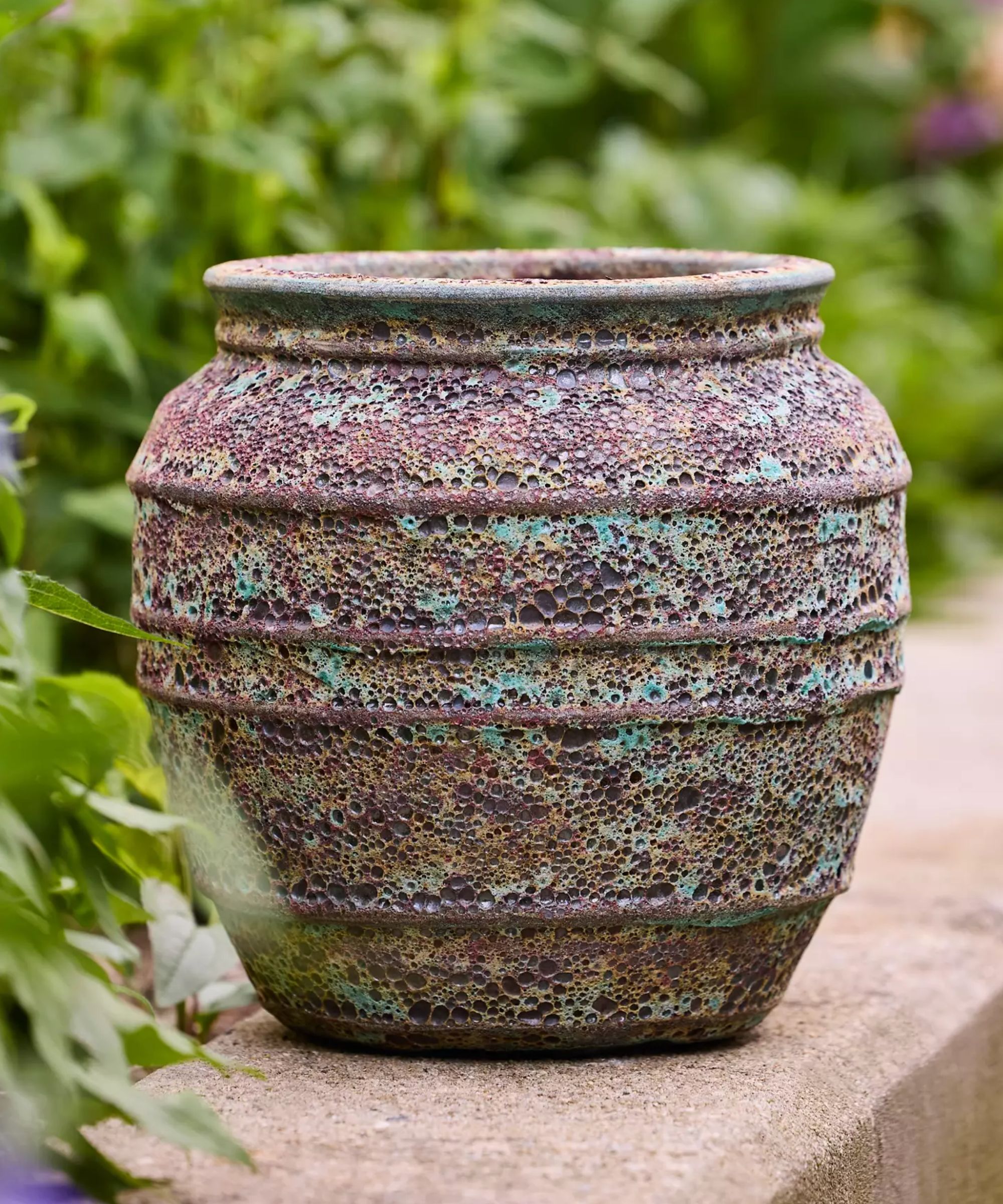Barnacle Banded Olive Jar Planter