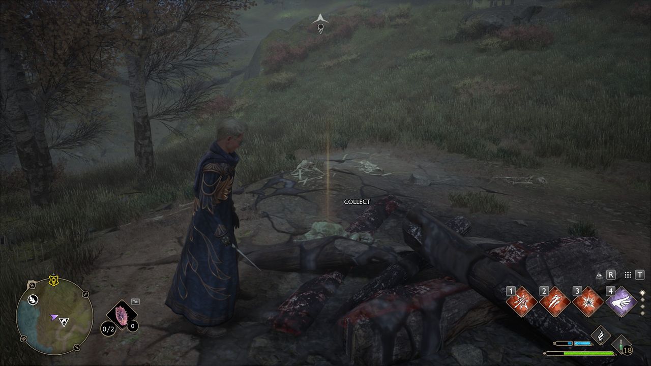 Hogwarts Legacy troll bogeys