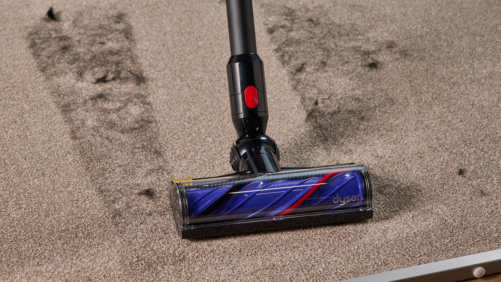 Dyson V8 Cyclone cordless vacuum clearing dog hair from a carpeted panel