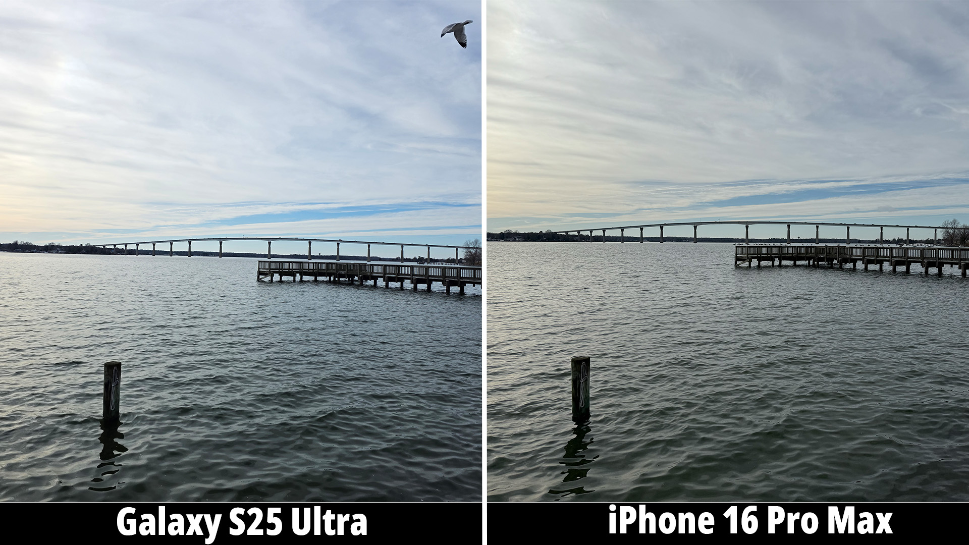 Samsung Galaxy S25 Ultra camera versus the iPhone 16 Pro Max