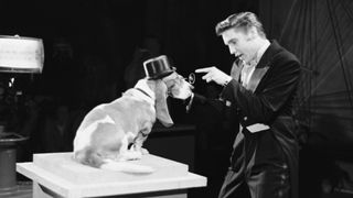 Elvis Presley sings to basset hound