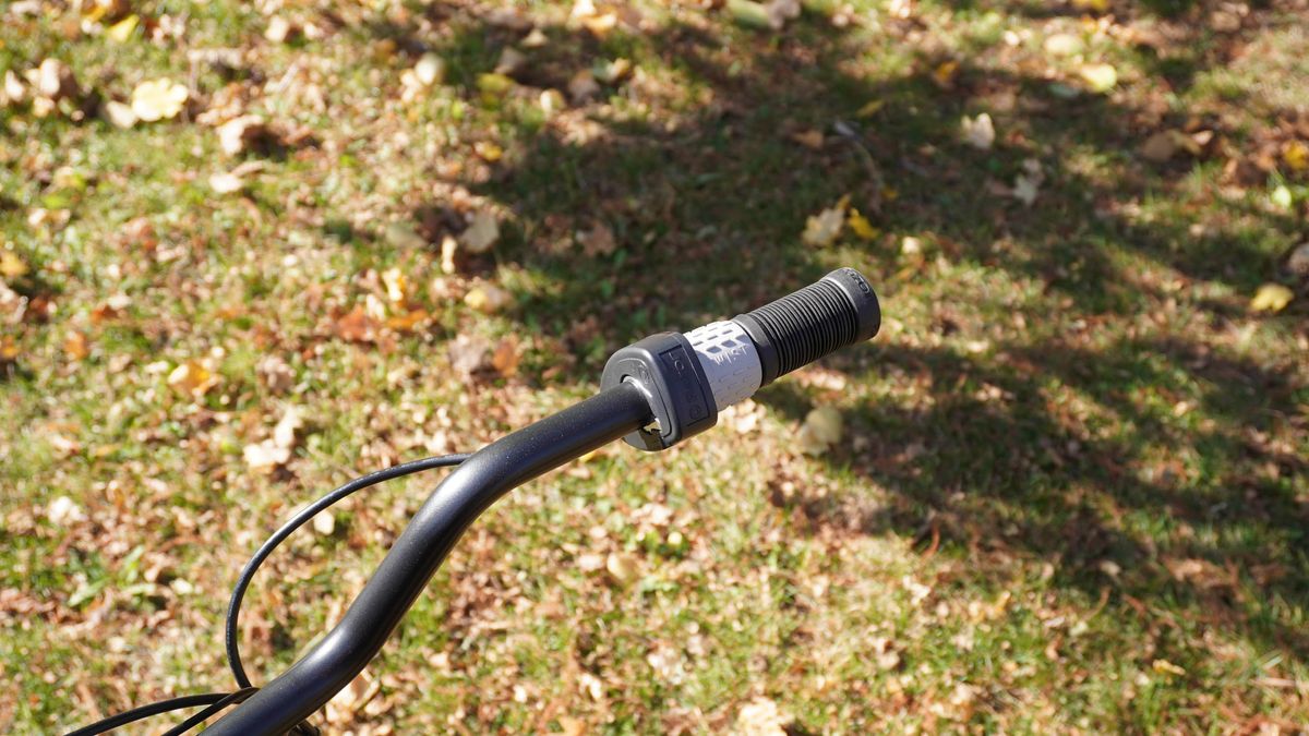 Razor EcoSmart Cargo outdoors