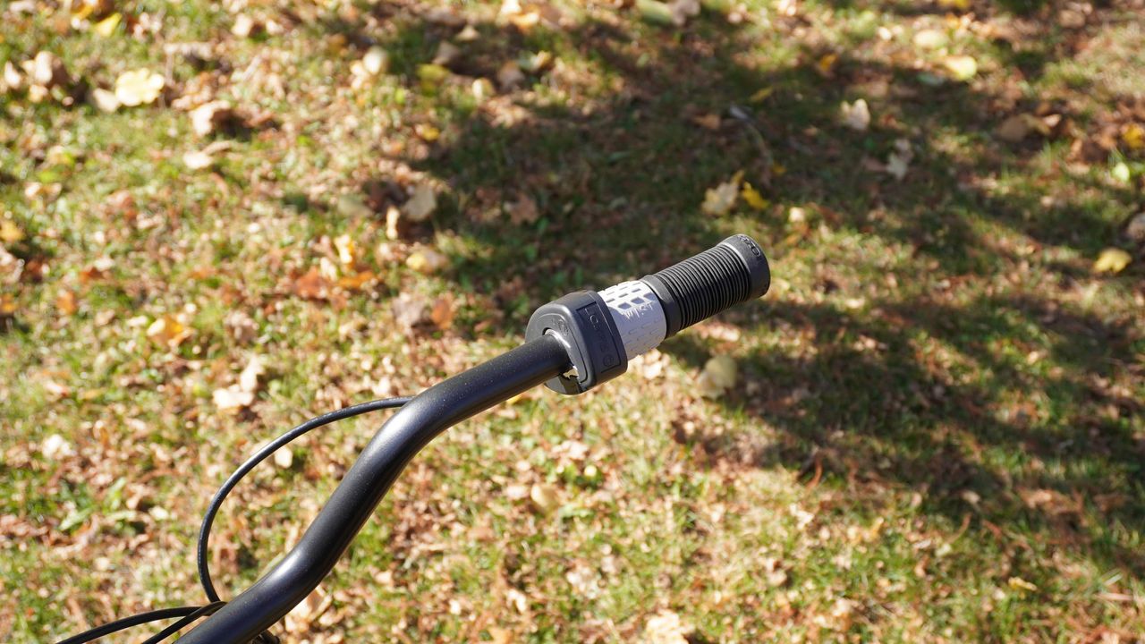 Razor EcoSmart Cargo outdoors