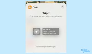 iOS 16 lock screen widget TripIt