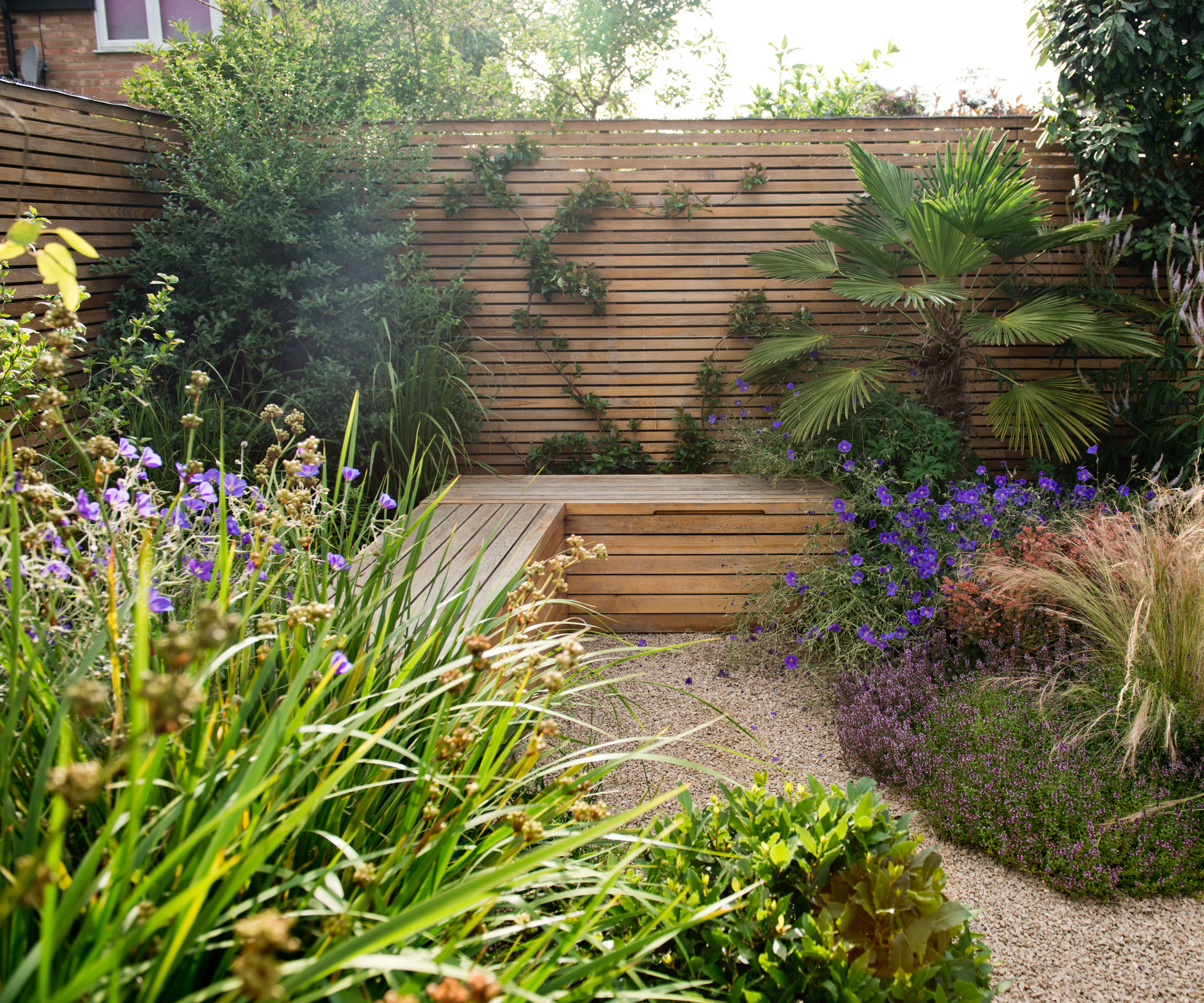small patio with garden bench, fence with climbing plants and flowerbeds with ornamental grasses and flowers