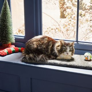 Aldi Cat Window Sill Mattress