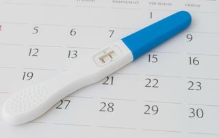 When to get pregnant: the best time of year for a baby