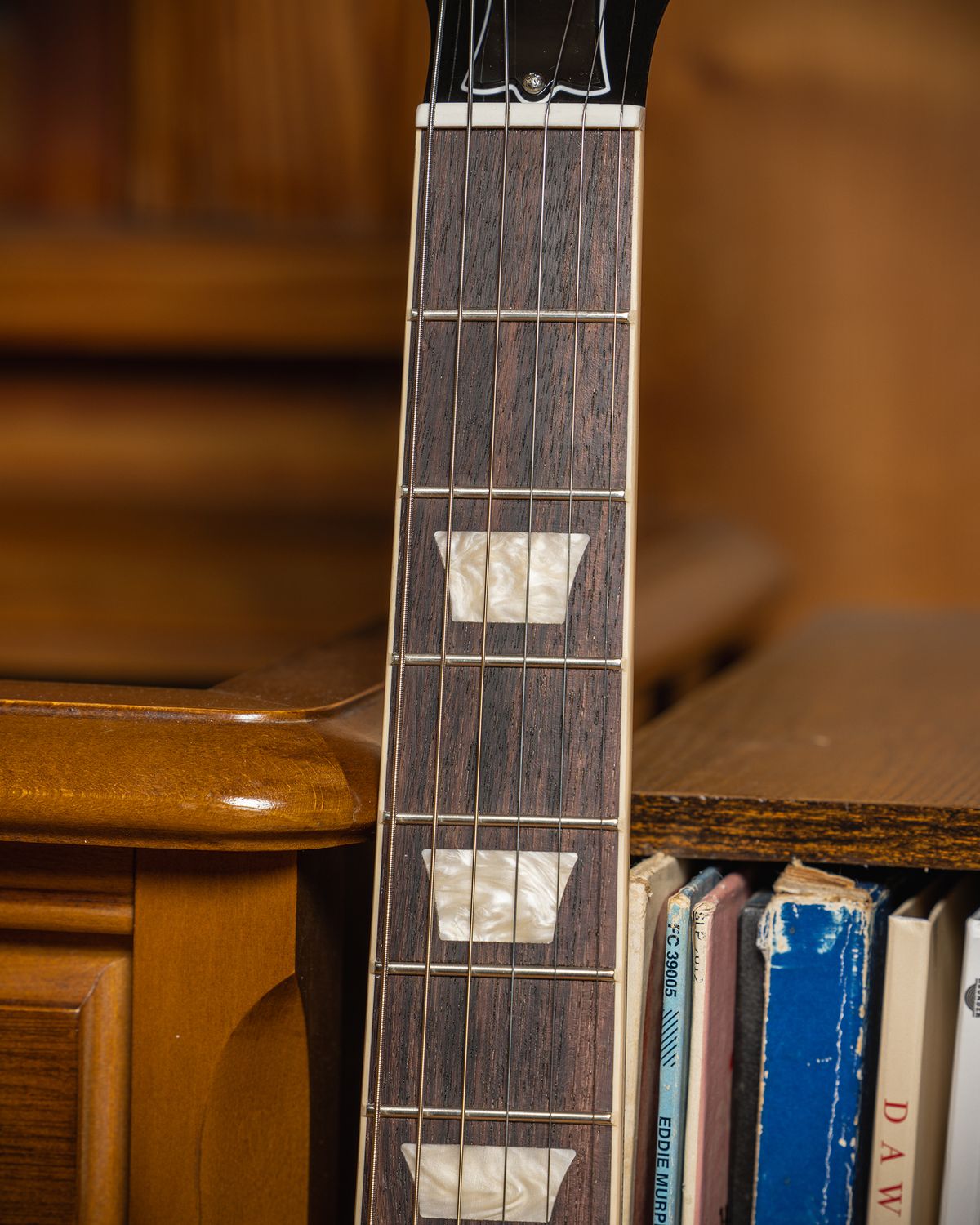 Warren Haynes Signature Gibson Les Paul Standard