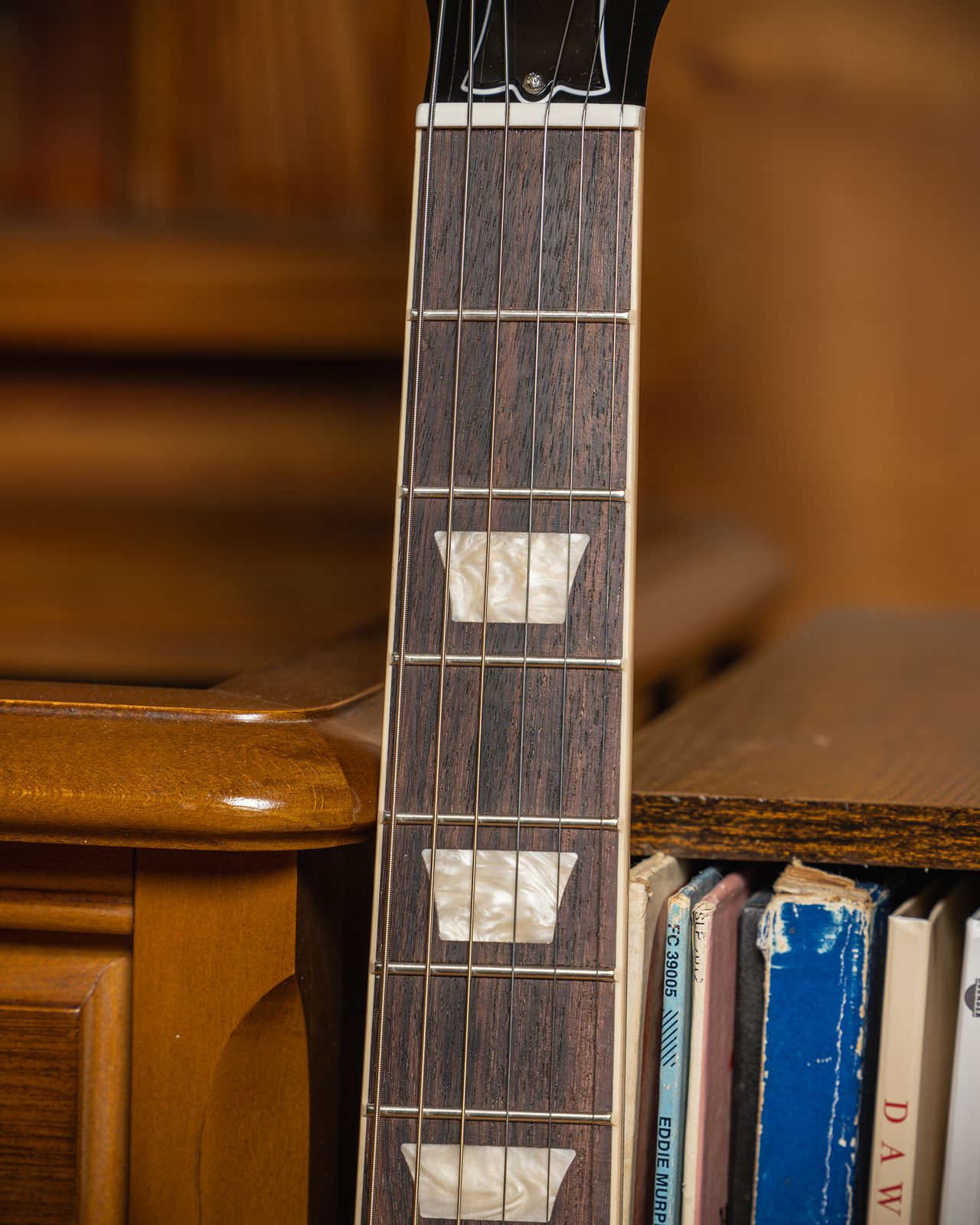 Warren Haynes Signature Gibson Les Paul Standard