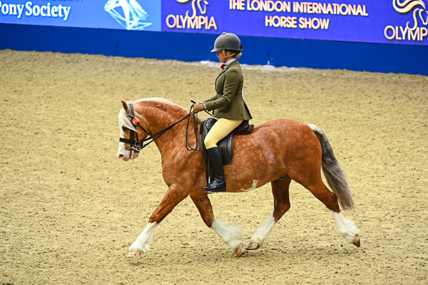 Cargarsar-Silver-Phantom_Olympia_PN18_225732.jpg