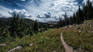 A trail in Colorado