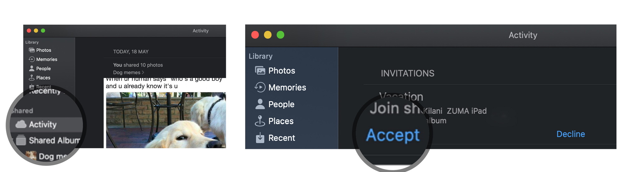 Subscribe to a Shared Photo Album on macOS by showing steps: Open Photos, Select Activity, tap Accept or Decline