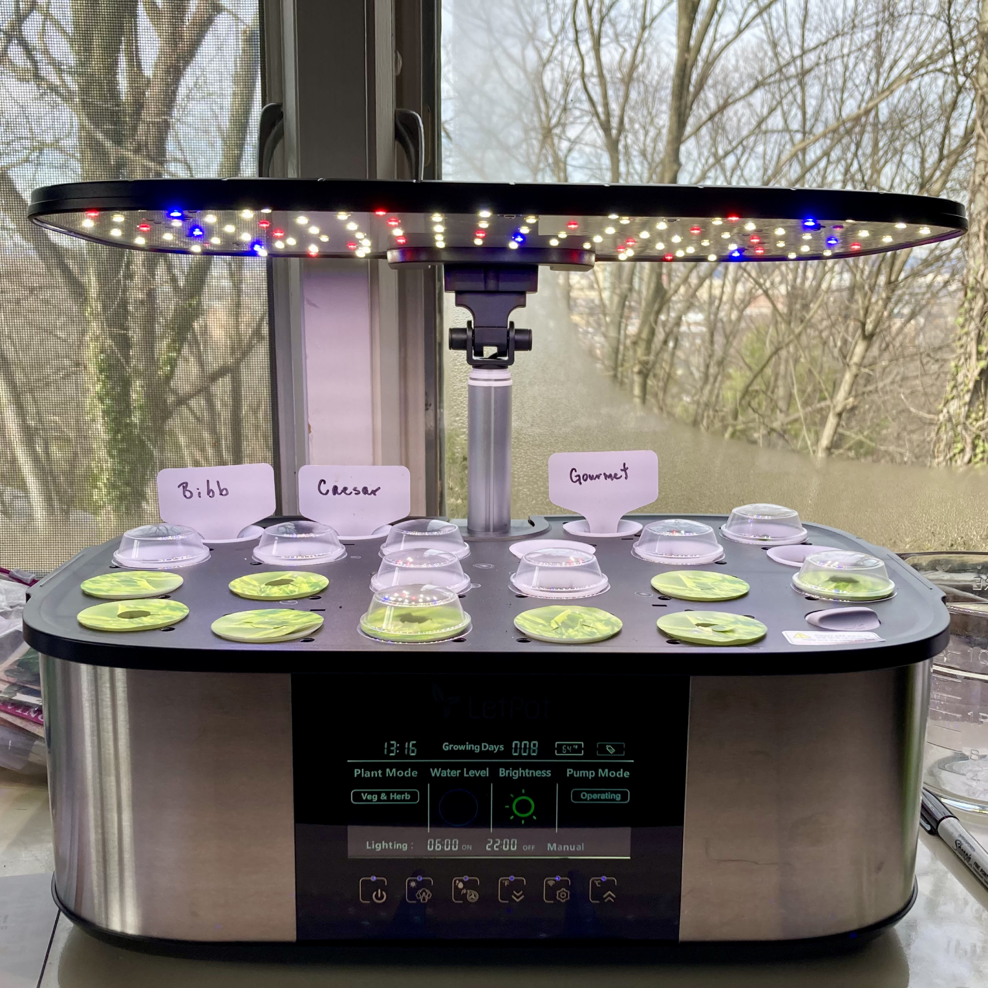 LetPot LPH-Max near a window