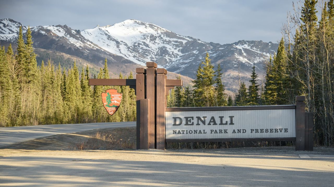 A view of Denali National Park and Preserve with Mount McKinley in the background. 