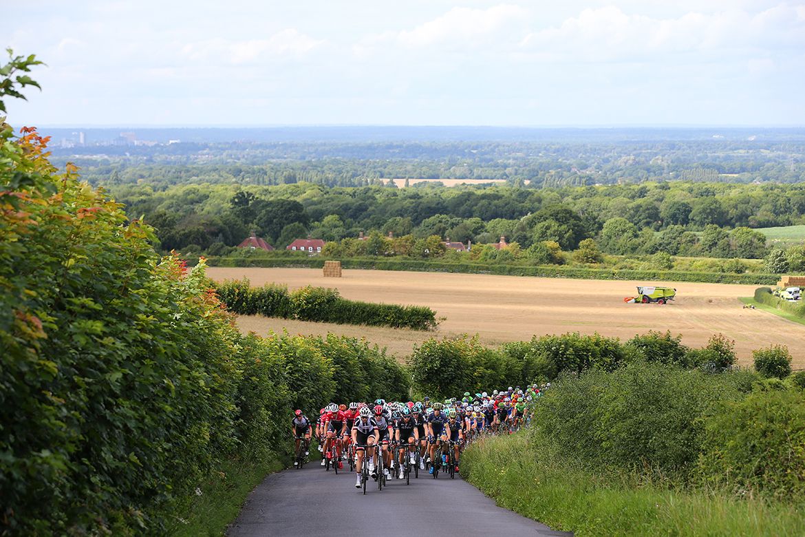 The RideLondon peloton making its way up a climb