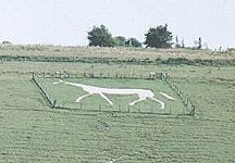 pewseywhitehorse.jpg