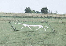 pewseywhitehorse.jpg