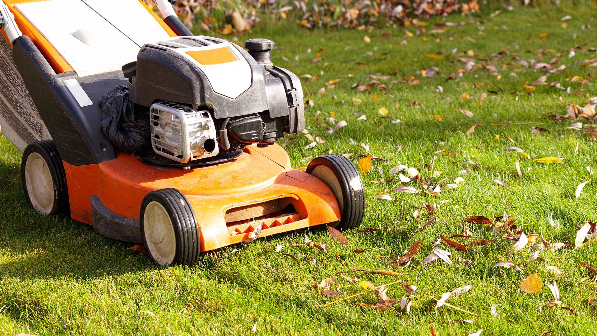 The fall mowing mistake you might be making right now — and what’s right for your lawn The fall mowing mistake you might be making right now — and what’s right for your lawn