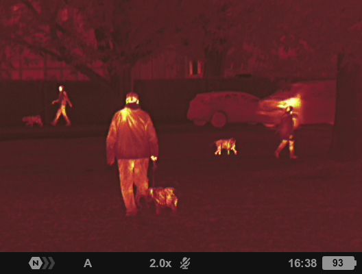 Night vision photo taken with the Pulsar Axion XQ30 PRO night vision monocular
