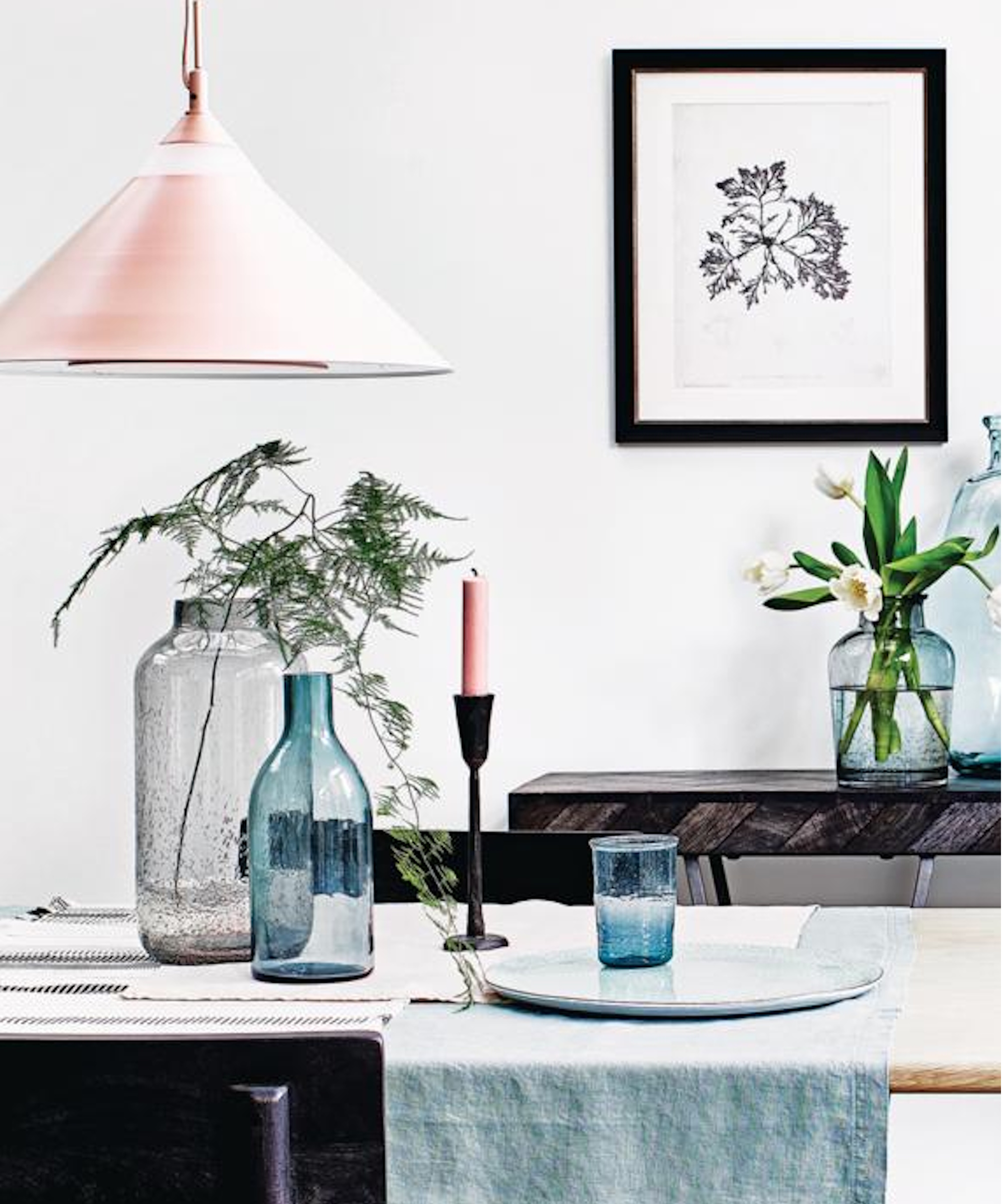 Asparagus fern